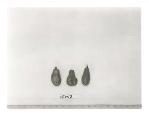 FRUIT